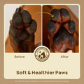 HICC Pet® Paw Butter for Dogs & Cats