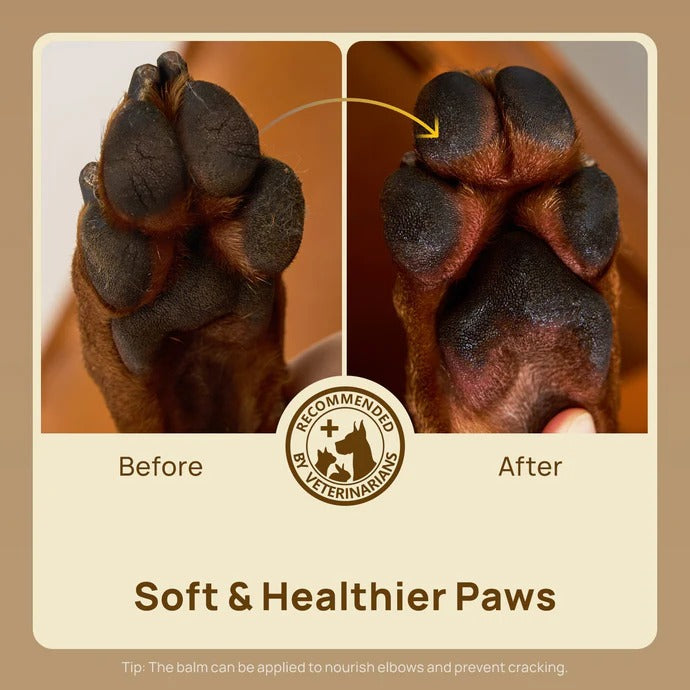 HICC Pet® Paw Butter for Dogs & Cats