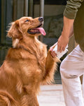 HICC Pet® Portable Plant-Based Wipes for Dogs & Cats
