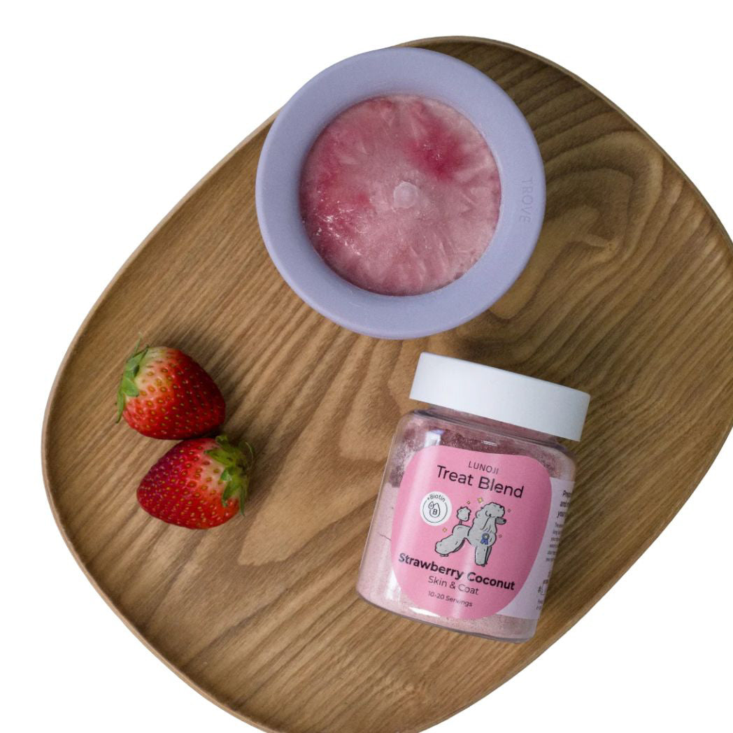 Strawberry Coconut frozen dog treat mix for skin and coat support with ingredient