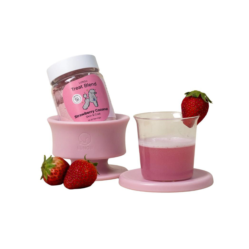 Strawberry Coconut frozen dog treat mix for skin and coat support with trove