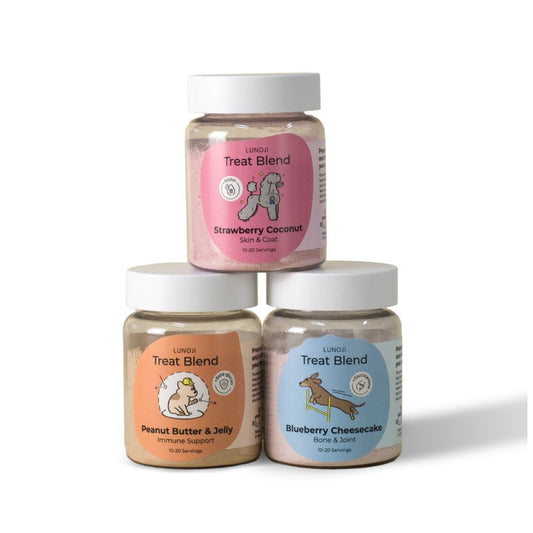 Lunoji Treat Blend healthy frozen dog treat mix flavours for dogs in Singapore