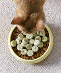 Cat eating Notti ActivePlay catnip freeze-dried chunks served on top of kibble in a bowl