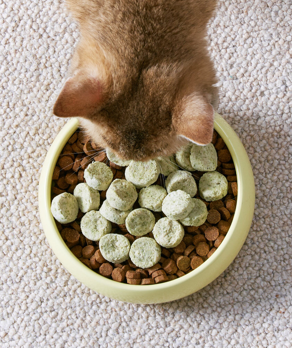 Cat eating Notti ActivePlay catnip freeze-dried chunks served on top of kibble in a bowl