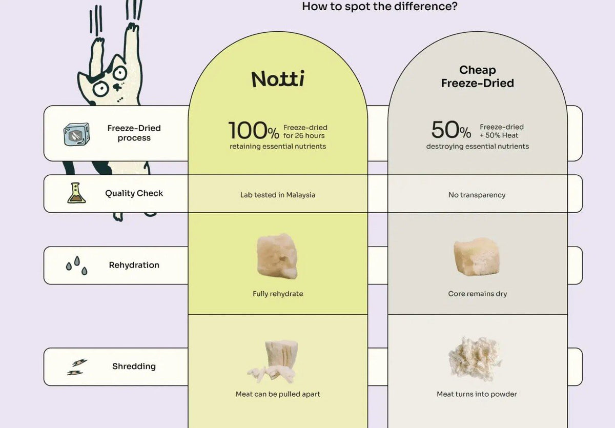 Notti 100% freeze-dried treats compared with cheap freeze-dried: lab tested, fully rehydrates, meat pulls apart instead of turning to powder