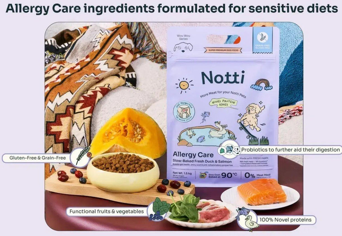 Notti Allergy Care kibble with fresh salmon, pumpkin and bag, styled flat lay