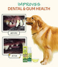 Before and after comparison of a dog's teeth and gums showing improved dental and gum health with Notti Bad Breath