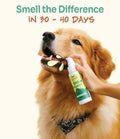 Hand applying Notti Bad Breath spray to a golden retriever's mouth, 
