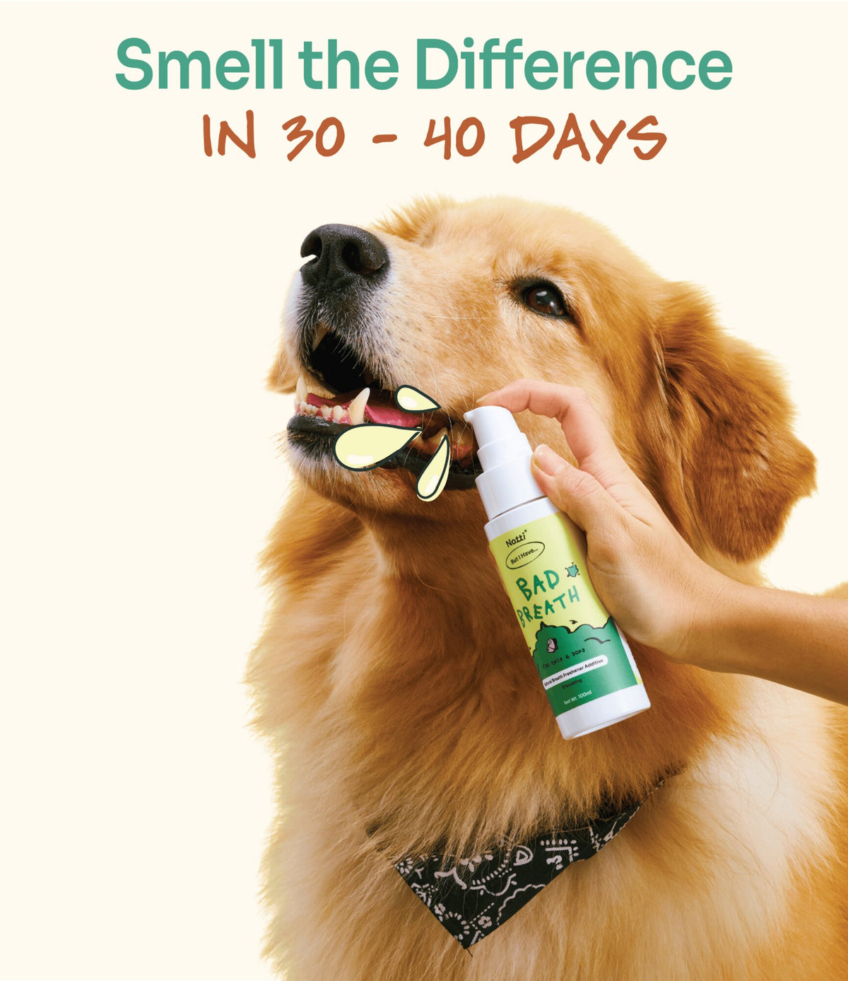 Hand applying Notti Bad Breath spray to a golden retriever's mouth, "Smell the Difference in 30-40 Days"