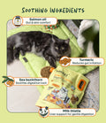 Cat with Notti Crunchy-Baked Digest Care bag, highlighting salmon oil, turmeric, sea buckthorn and milk thistle for gut comfort