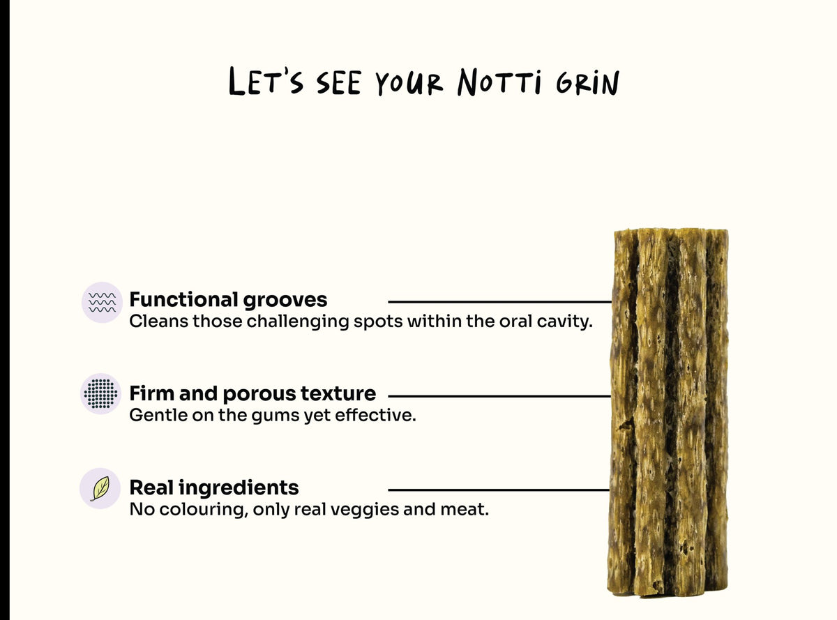 Notti dental chew close-up showing functional grooves, firm porous texture and real meat and veggie ingredients