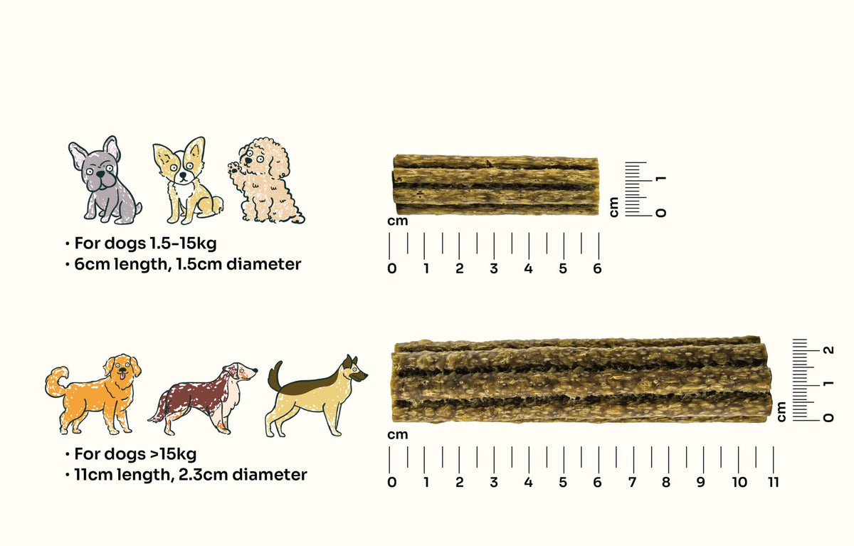 Notti dental chew size guide — 6cm chew for dogs 1.5–15kg, 11cm chew for dogs over 15kg