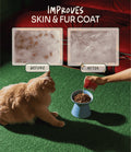 Before and after close-up of a cat's skin and fur coat, 