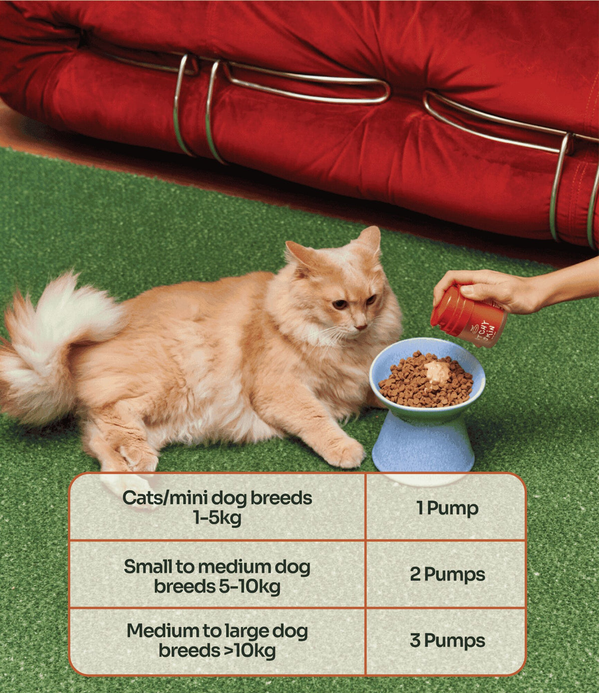 Cat with Notti Itchy Skin dosage chart — 1 pump for cats/mini dog breeds, 2 pumps for small-medium dogs, 3 pumps for medium-large dogs