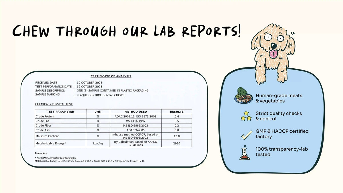 Notti Plaque Control Dental Chews lab certificate of analysis with protein, fat, fibre and moisture results, made in a GMP and HACCP certified factory