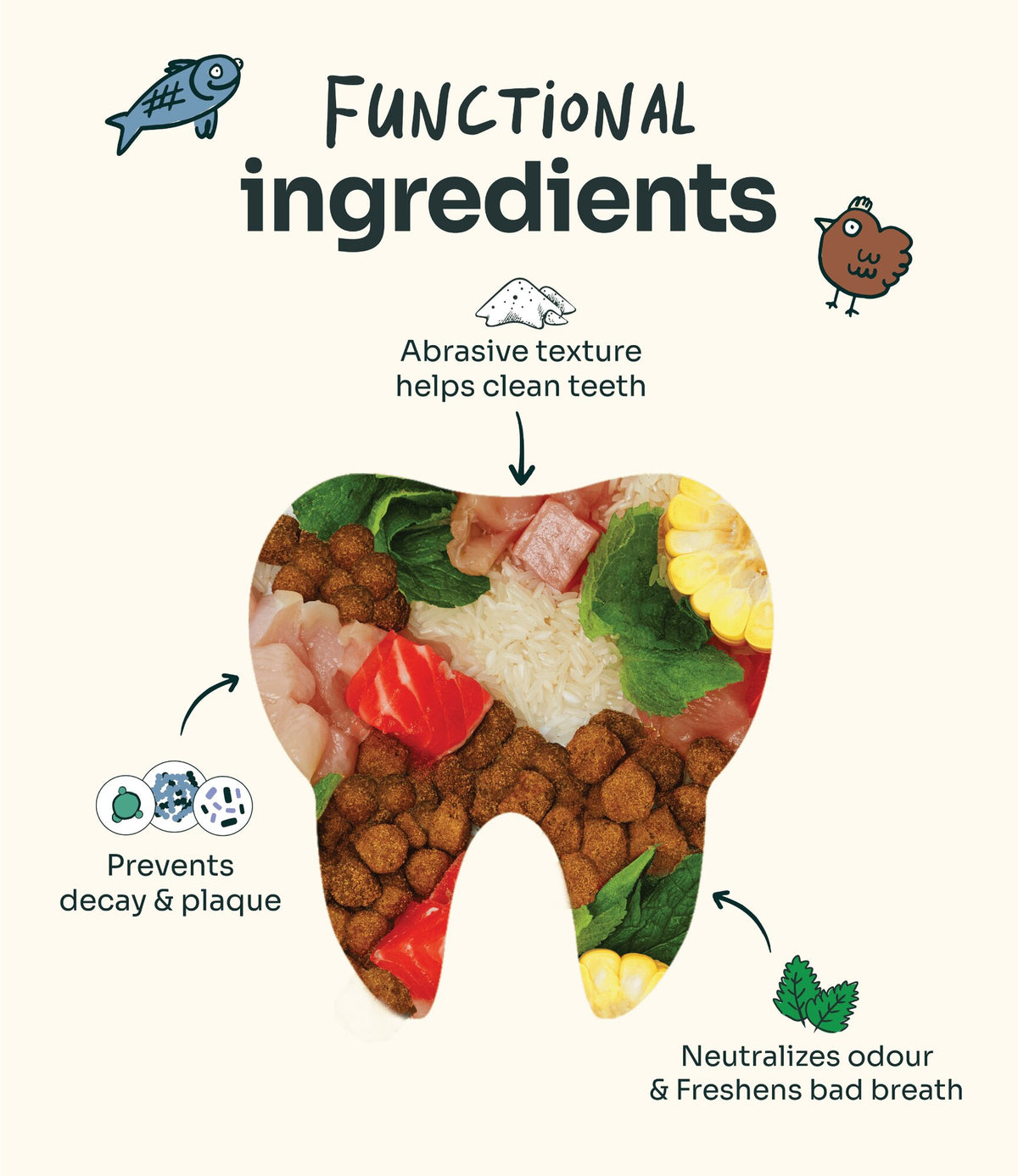 Notti Dental Crunch ingredients in a tooth shape: chicken, salmon, rice, corn and mint, with an abrasive texture that helps clean teeth and freshen breath