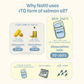 Why Notti uses rTG salmon oil — 90-100% absorption rate vs. 20-80% for TG and EE forms