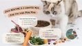 Cat beside fresh lamb, kibble and vegetables, highlighting high dietary fibre, prebiotics & probiotics, and L-carnitine benefits