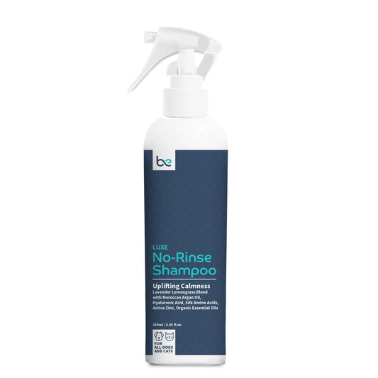 Beyond Clean Luxe No Rinse Shampoo 200ml | 250ml