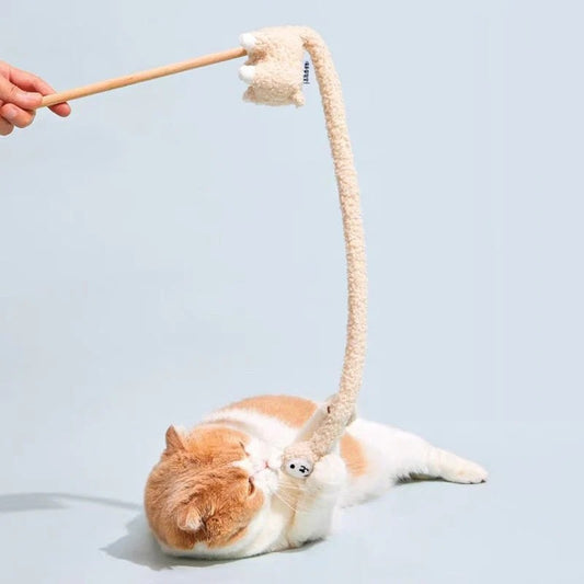 Purlab Llama Cat Teaser