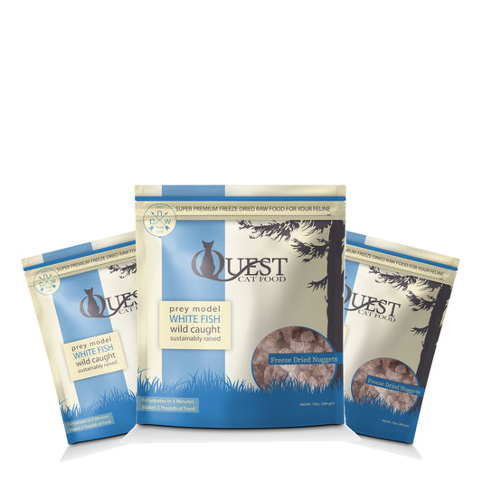 Steve's Real Food Quest Freeze-Dried White Fish Bite Size Nuggets for Cats Bundle 3x10oz - Pawmrkt Singapore
