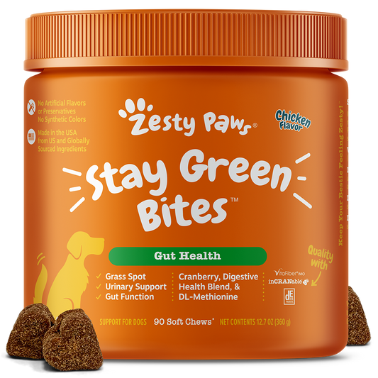 Zesty Paws Dog Stay Green Bites Gut Health Chicken 90 soft chews